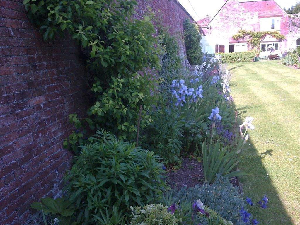 웰스 Coxley House B&B 외부 사진